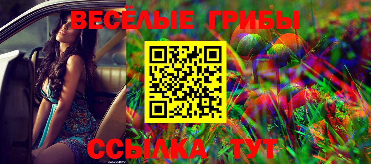 Галлюциногенные грибы прущие грибы  Вход с VPN  Дзержинск 