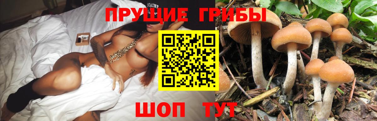 Бошки Шишки  Дзержинск  МДМА  Метадон  ГАШИШ  МЕФ кристаллы  Вход с VPN  Лсд 25  Кокаин  Гашиш 